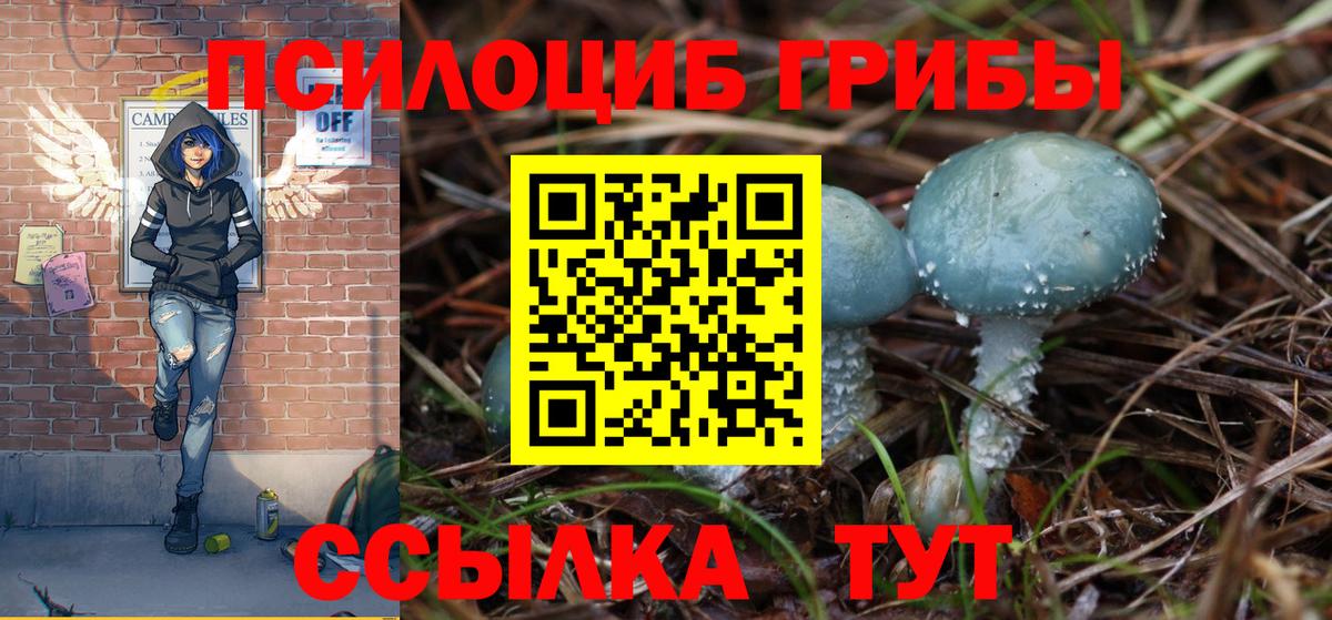 Галлюциногенные грибы Magic Shrooms  Псилоцибиновые грибы Psilocybine cubensis  Ревда  Вход с VPN 